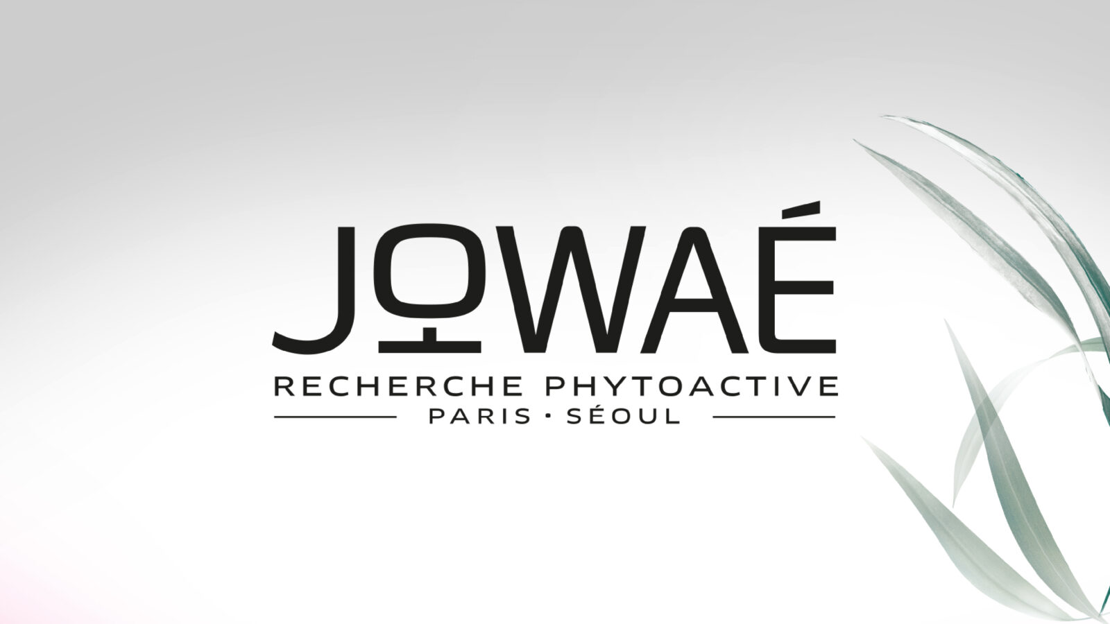 Jowaé - Logo