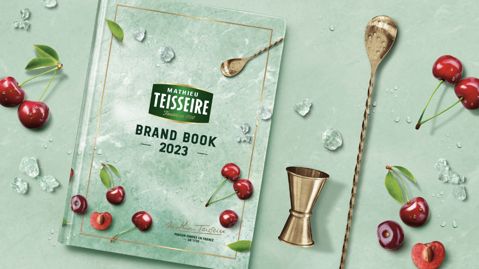 Mathieu Teisseire - Brand book