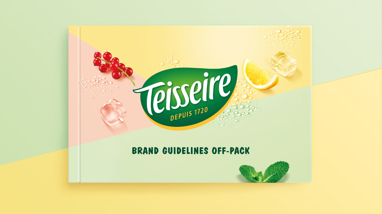 Teisseire - Brand book
